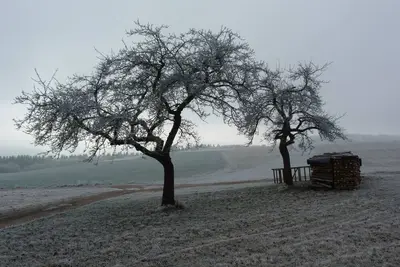 Image de Calme, maison individuelle dans la forêt, avec piscine / sauna