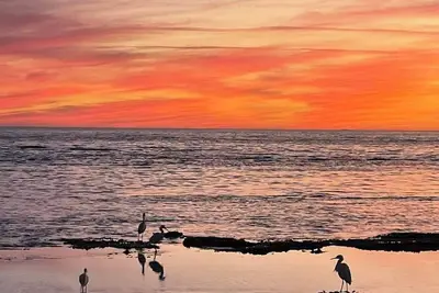 Image de Condo au premier rang de la plage sur la plage de sable