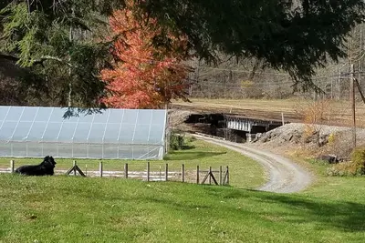 Image de Vie à la montagne à la ferme près du ruisseau avec pêche