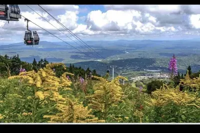 Image de Stratton Ski Inn - Navette pour skier - Terrain de golf - Bain à remous
