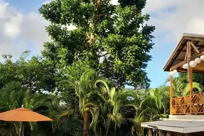 Image de Évasion secrète niché dans la nature