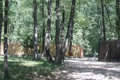 Image de Villa Standing Et Magnifique Piscine Au Coeur De La Foret sur terrain de 3000m2