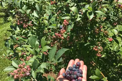 Image de \"Glamping\" Meilleur endroit dans les montagnes