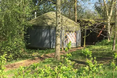 Image de Yourte (5 m de large) dans les Cotswolds, parfaite pour une escapade romantique