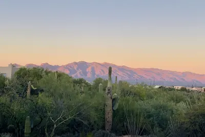 Image de Découvrez le meilleur de Starr Pass Condo