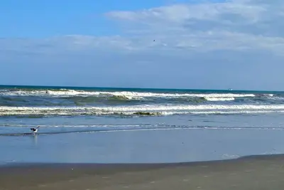 Image de Livre pour le printemps! Raisonnable Resort Living, un bloc de plage!