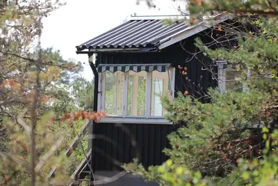 Image de Maison suédoise en bois