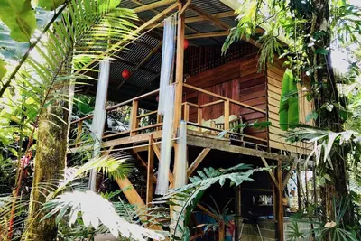 Image de R2 Tranquila Cabin Tropical Garden
