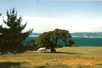 Image de Superbe Ranch Home avec vue sur l'océan