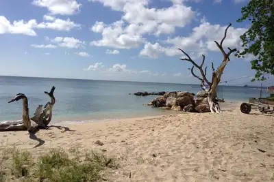 Image de SilverDollar 1 - 200 mètres de la plage de Heywoods