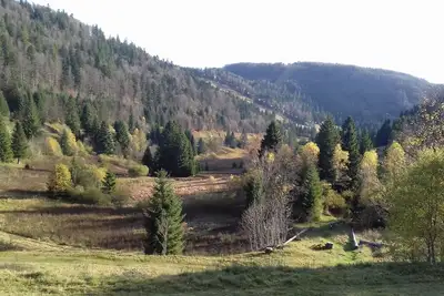 Image de Appartement vue panoramique sur les pistes de Labresse et la Tourbière