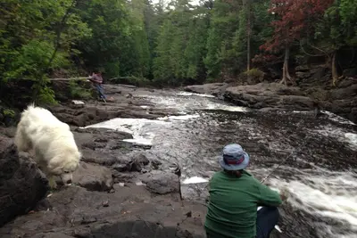 Image de Wildwood Cottage, Duluth, Retraite boisée privée de la rive nord