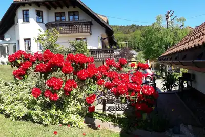 Image de Appartement / app. pour 4 personnes à 90 m² à Dachsberg (Sud de la Forêt Noire) (95171)