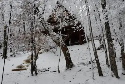 Image de Cabin de montagne de hêtre de rêves inoubliables