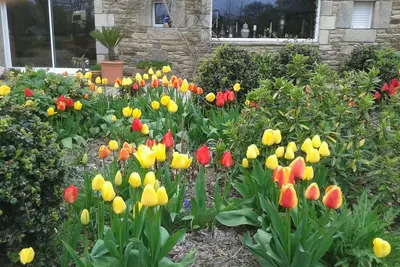 Image de Domaine de lestivoan gîte 611