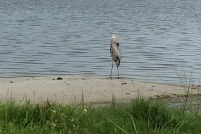 Image de Cottage de pêche avec quai de 250 pieds et bateau glisser 2 miles de l'océan Atlantique