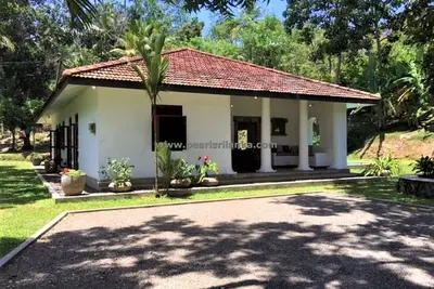 Image de Villa de style colonial de 3 chambres avec piscine à débordement et jardin pittoresque