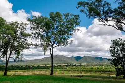 Image de Winmark Wines