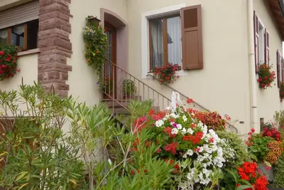 Image de Gite dans une grande maison au centre de Colmar avec jardin et parking gratuit