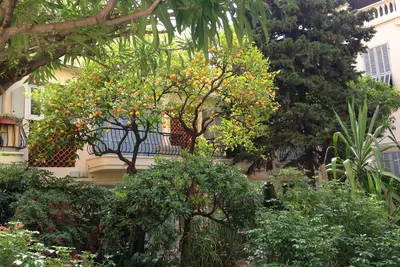 Image de Grand appartement Centre ville, 2 mn plage, très calme sur jardin, vue montagne