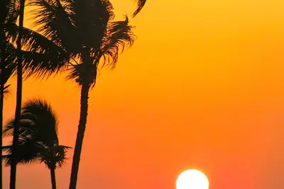 Image de Super vue sur l'océan! Belle plage, plongée en apnée, Kamaole Beach Ii. . .