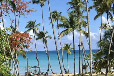 Image de Front de mer! Luxueux appartement de plage chic avec une vue magnifique sur l'océan