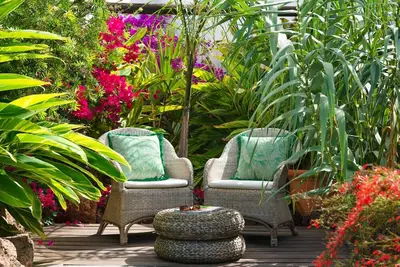 Image de Finca Botanico Garden Villa - Hébergement rural élégant, jardin privé mature