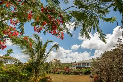 Image de Villa moderne élégante et spacieuse avec piscine à débordement et vue imprenable. 8-10 personnes