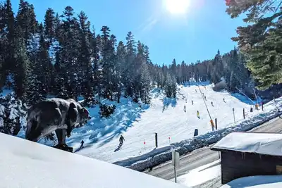 Image de Ski In / Ski Out Custom Home.