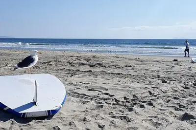 Image de La vie Ă la plage de Coronado!