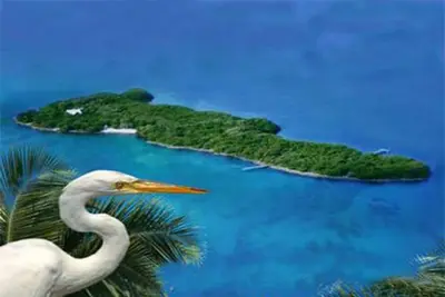 Image de Île privée, au large des Florida Keys avec plage de sable, jardins, bateau et quai.