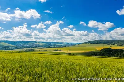 Image de Appartement confortable avec terrasse + W-Lan, enfants et animaux acceptés.