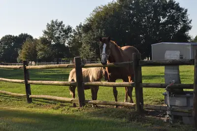 Image de Profitez du grand paysage de charme de la ferme!