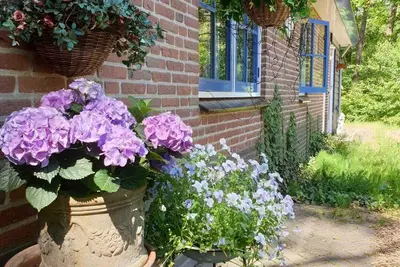 Image de Belle maison près de la forêt et de landes à Otterlo