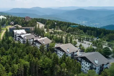 Image de 1Br: Sifflet 33