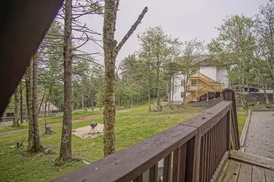 Image de 2 Br: Whistlepunk 31