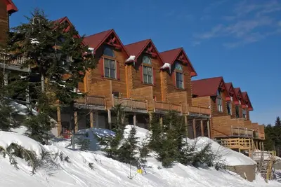 Image de 5Br: Loggers Run 7