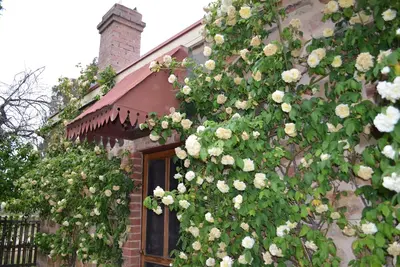 Image de Magnifique chalet du patrimoine situé dans un magnifique jardin de campagne plein de vieilles roses