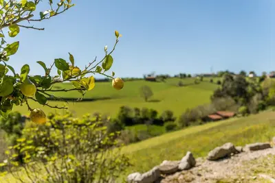 Image de Appartement rural situé dans un cadre naturel et proche de la plage