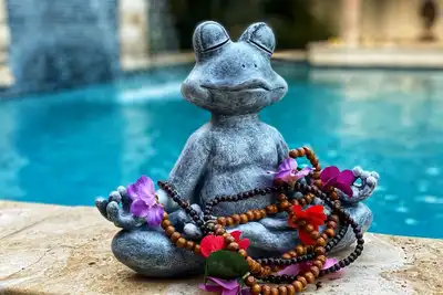 Image de Casa Tranquila Détendez-vous et profitez du soleil dans votre propre piscine chauffée privée