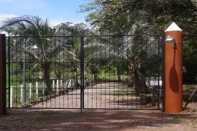 Image de Vues spectaculaires sur l'océan depuis chaque chambre et terrasse - Beaucoup de singes et de toucans!