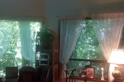 Image de Belle maison dans les arbres de Juanita