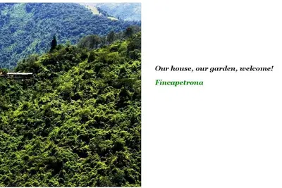 Image de Nature abondante et paisible dans les environs de Quito