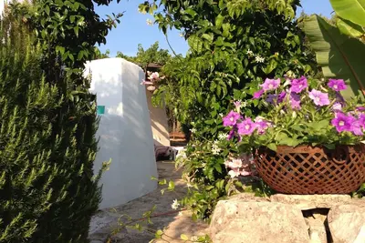 Image de Le rêve de Nora ……. .