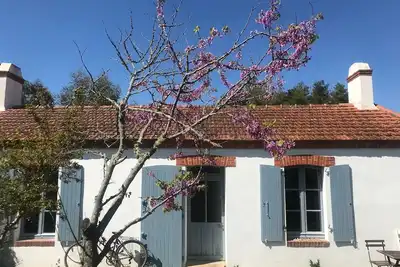 Image de A 300m de la plage, sur l'île de Noirmoutier, longère de caractère