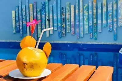 Image de Villa au milieu des palmiers tropicaux, non loin de la plage de Bentota