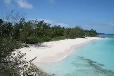 Image de Abandonnez-vous à votre Tropical Impulse