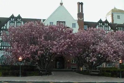 Image de Appartement Montauk Manor-Deluxe Studio