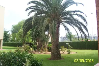 Image de appartement situe dans une residence fermee, au 2eme etage, calme.