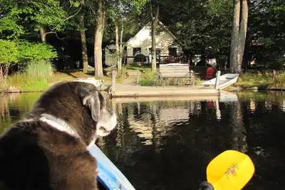 Image de Lakefront Cabin w / plage privée, Dock, Ac, 4 bateaux, sauna, chien amical! ! !